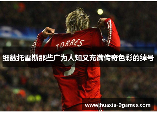 细数托雷斯那些广为人知又充满传奇色彩的绰号 细数托雷斯那些广为人知又充满传奇色彩的绰号